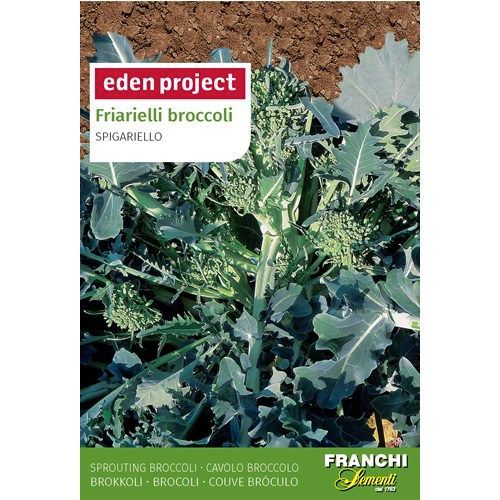 Spigariello Broccoli Spigariello Broccoli