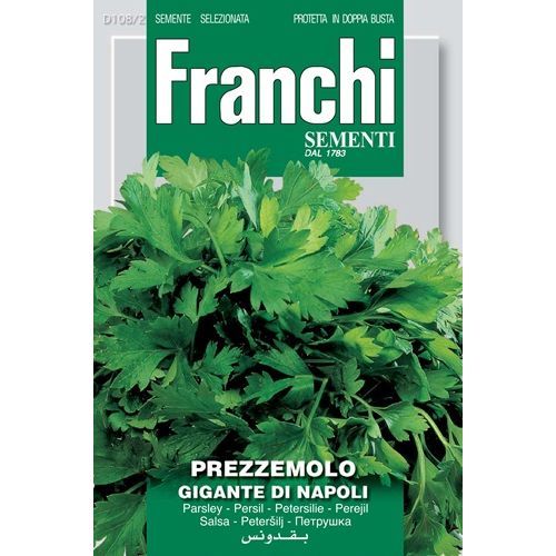 Prezzemolo Gigante Napoli Parsley Prezzemolo Gigante Napoli Parsley