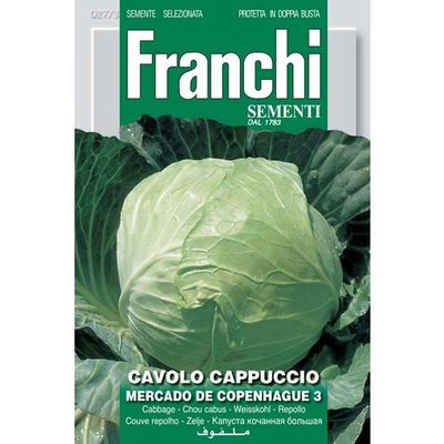 Cavolo Mercardo de Copenhague Cabbage