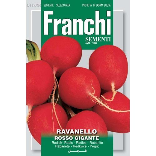 Ravanello Rosso Gigante Radish Ravanello Rosso Gigante Radish