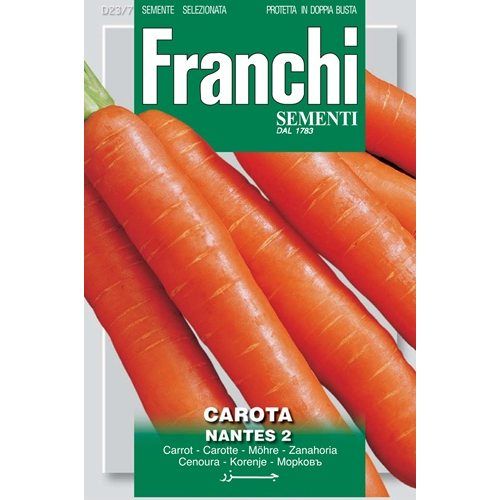 Carrot Nantes 2 Carrot Nantes 2