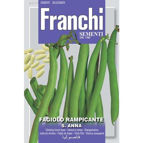 Green French Bean S.Anna