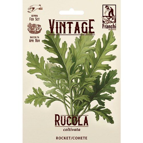 Cultivated Rocket Ruccola Cultivated Rocket Ruccola