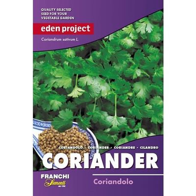 Coriander Coriander