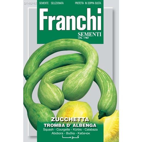 ZuccettaTromba DAlbenga squash