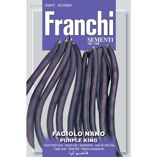 Fagiolo Nano Purple King Bean