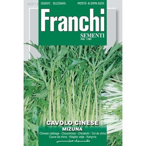 Cavolo Cinese Mizuna Lettuce Chinese Mizuna