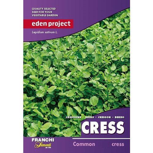 Watercress Watercress