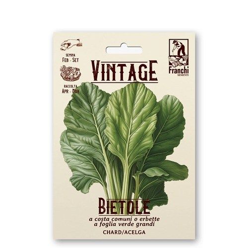 Bietole Chard