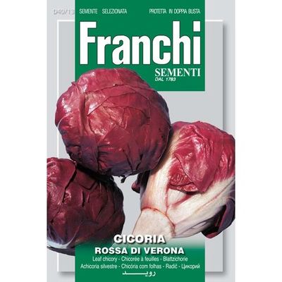 Chicoria Rossa di Verona Chicory Chicoria Rossa di Verona Chicory