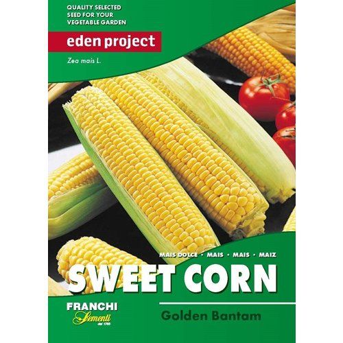 Sweetcorn Sweetcorn