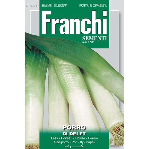 Porro di Delft leek Porro di Delft leek
