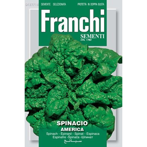 Spinacio America Spinach