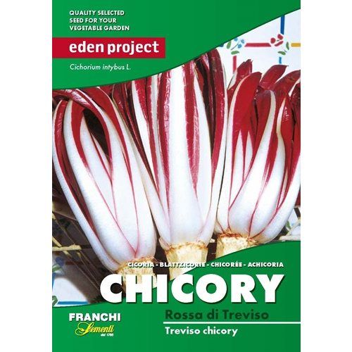 Blue Chicory Blue Chicory