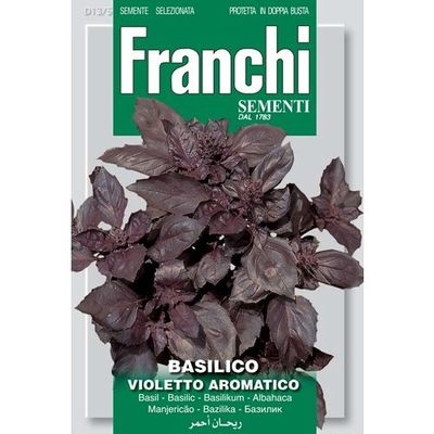 Basilico Violetto aramantico Basil purple (red basil)