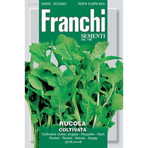 Rucola coltivata Rocket Cultivated Rucola coltivata Rocket Cultivated