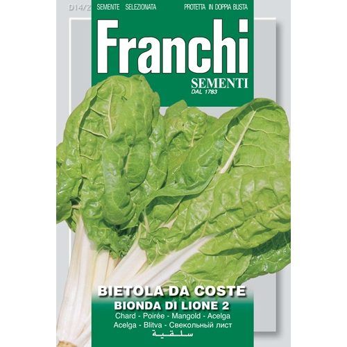 Bietola Da Coste Bionda di Lione 2