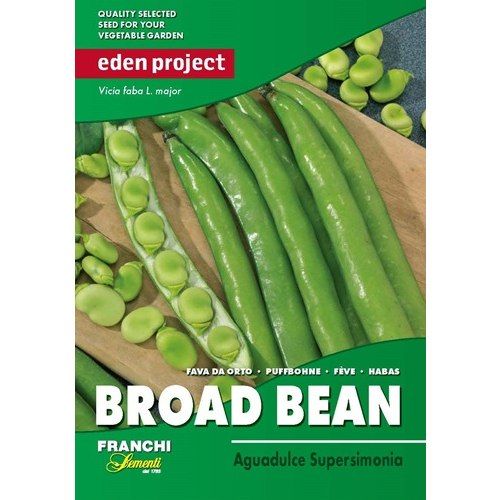Broad Bean Broad Bean