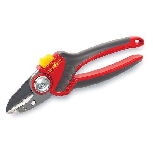 Premium Plus Anvil Secateurs