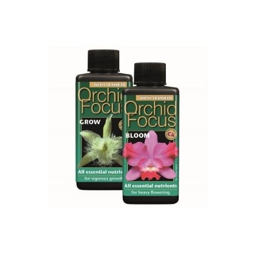 Orchid Focus Bloom 1 litre