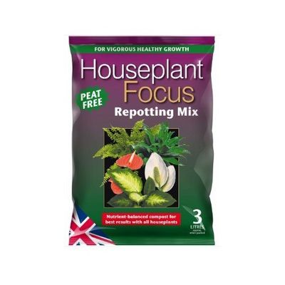 Houseplant Focus Repotting - 3L