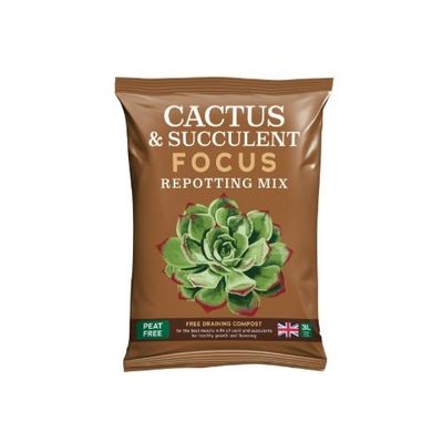 Cactus Focus Repotting - 8L