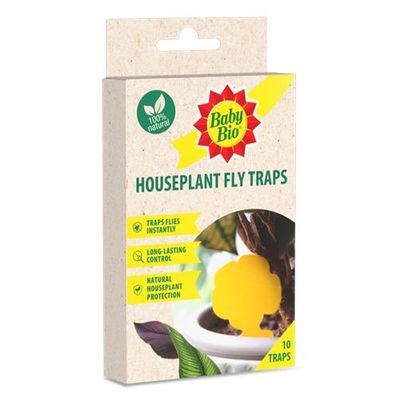 Baby Bio Houseplant Fly Traps