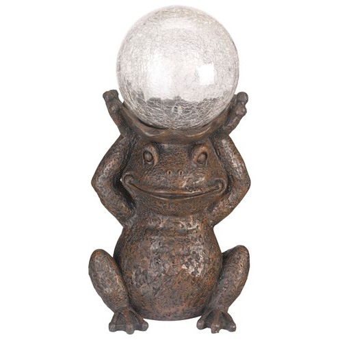 Gazing Frog
