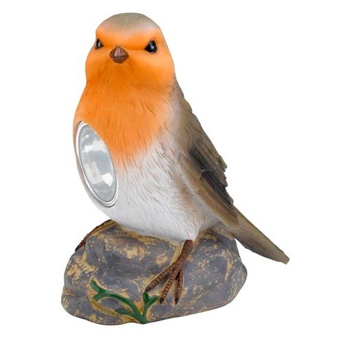Bird Spots