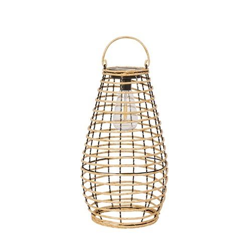 Venus Lantern - Natural