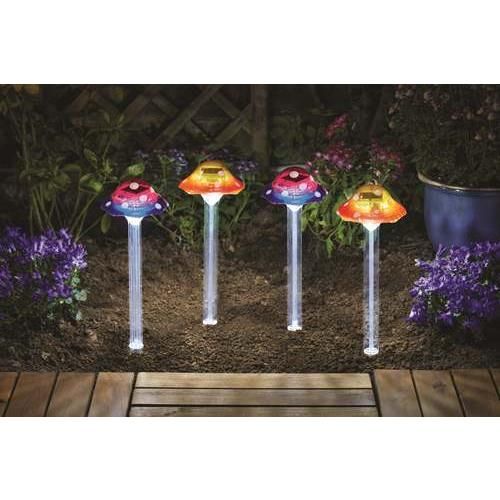 Funky Fungus - 4 PC Carry Pack