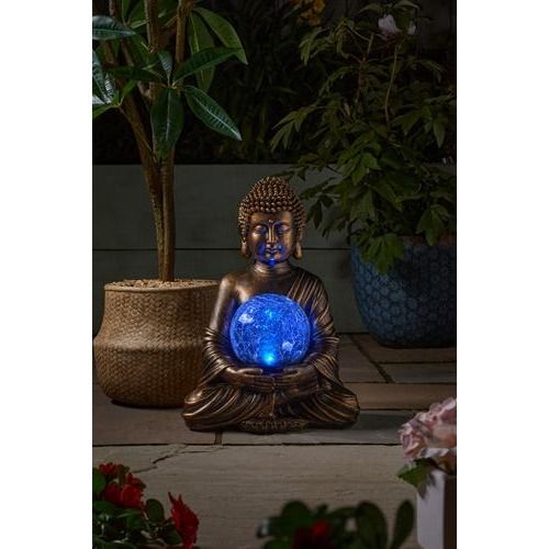 Gazing Buddha