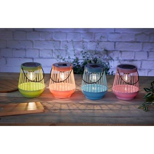 Viva! Lanterns - Mixed