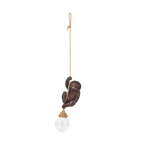 Swingin' Sloth!