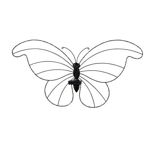 Sol-Papillon