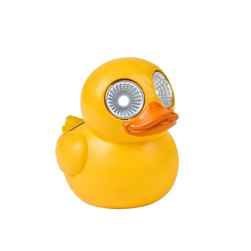 Lucky Ducky!
