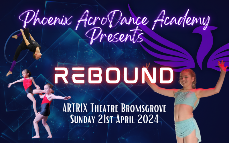 Rebound 2024 DVD