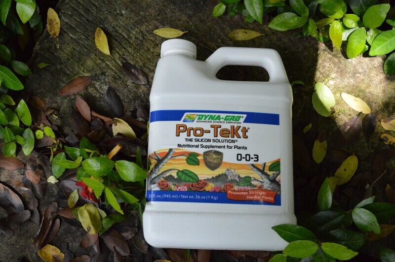 Pro-TeKt 8 oz.