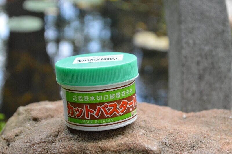 Cut Paste (For Conifers) 190 grams.