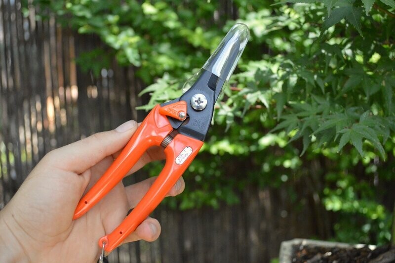 Thinning Shears