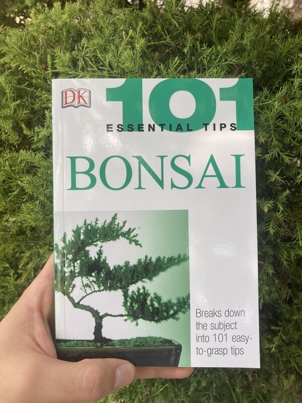 Bonsai 101