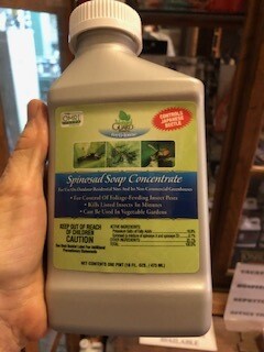 INSECTICIDAL SOAP  16 OZ.