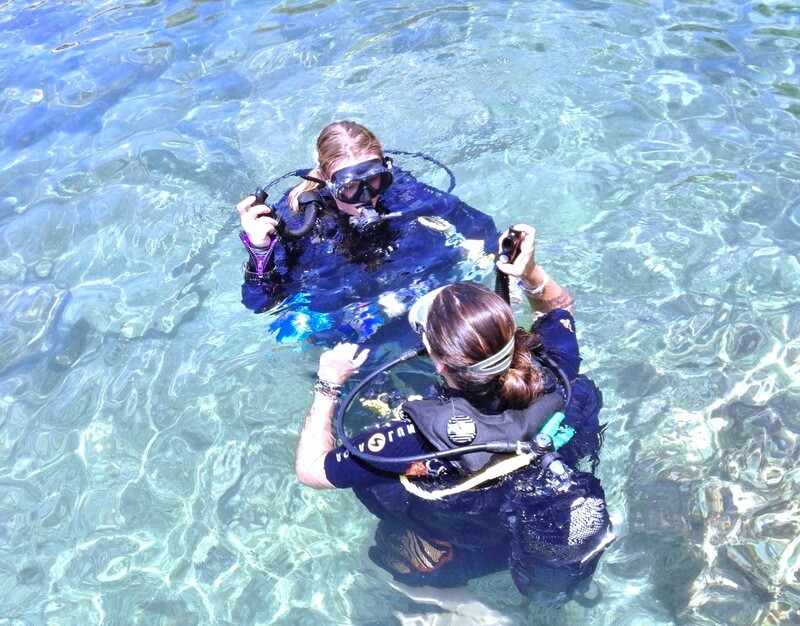 Taster Dive