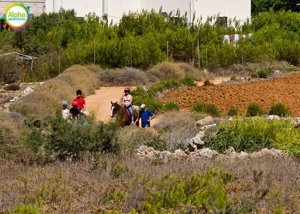 Horse Riding in the Maltese Countryside