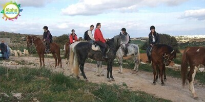 Horse Riding in the Maltese Countryside