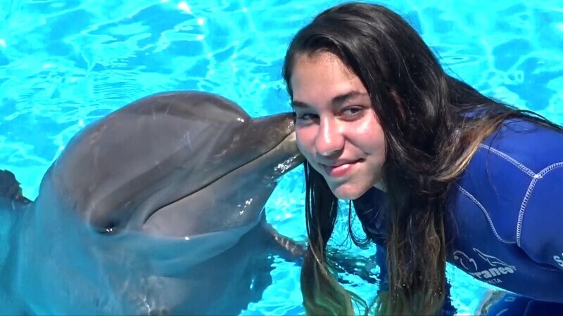 Swimming with Dolphins