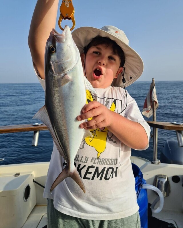 Fishing trips and tours