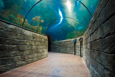 Malta National Aquarium