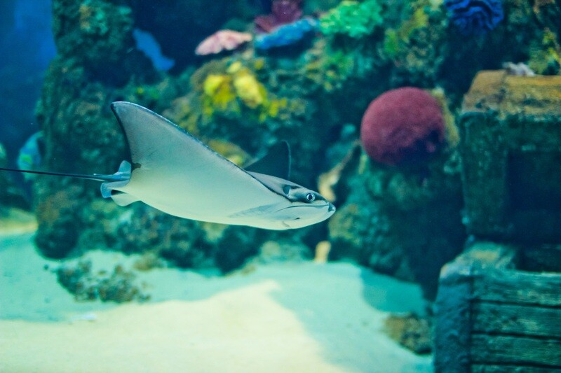 Malta National Aquarium