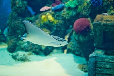 Malta National Aquarium